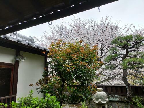 Hostal Guesthouse Sakichi