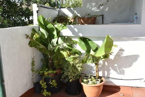Hostel B&B Charco Azul