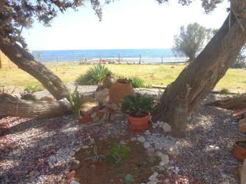 Apartamento Nicholas Beach Studios
