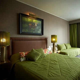 Hotel Du Lac Congress Center & Spa