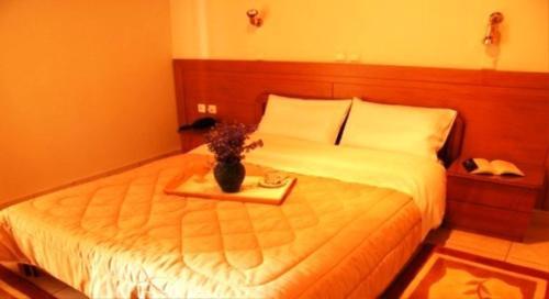 Hotel Afroditi