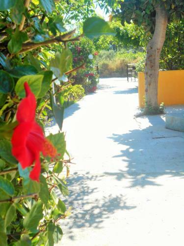 Apartamento Villa Sofia