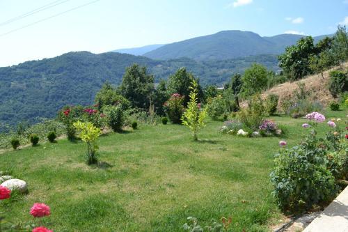 Hostal Guesthouse Rousis