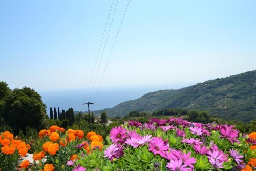 Hostal Guesthouse Rousis