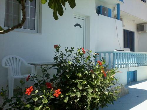 Iris Apartments