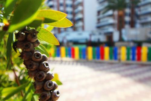 Apartamento En Primera Linea de Playa Puerto de Sagunto