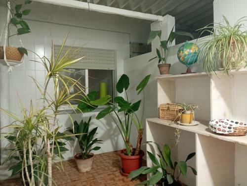 Apartamento Castillo De Arena
