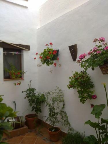 Casa Los Tres Aires