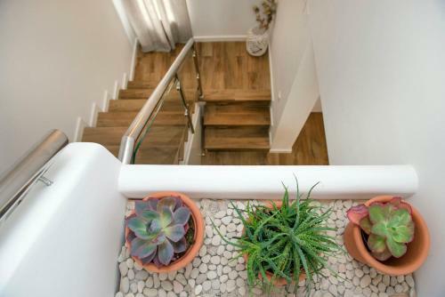 La Casita Del Atl�ntico