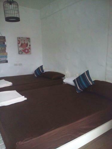 Posada Bluecoco Baler Beach House