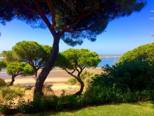 Bed & Breakfast Room In El Rompido, Spain