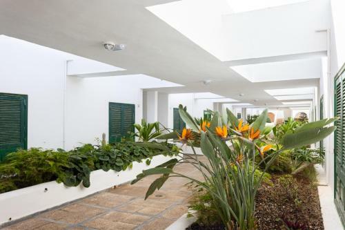 Apartamento Duplex En Residencial Balanc�n