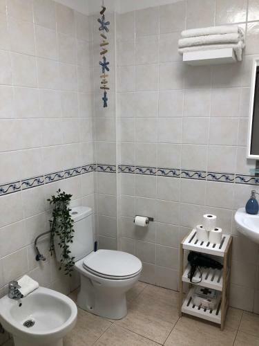 Apartamento Edificio Teresa