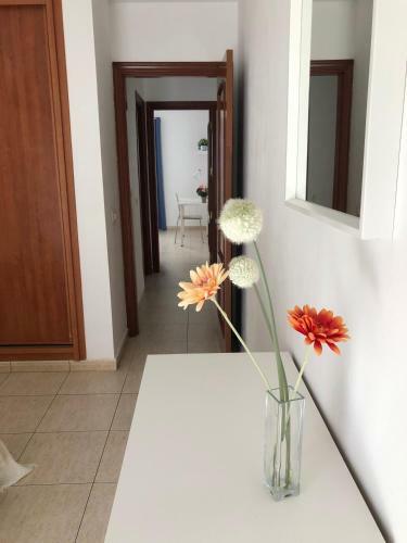 Apartamento Edificio Teresa