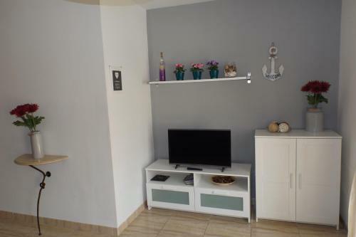 Estudio Ocean