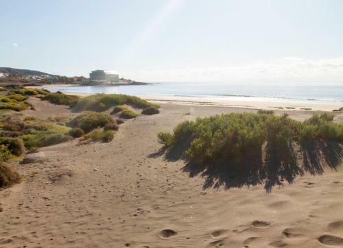 Apartamento Brunellos Beach House - By Medano4you