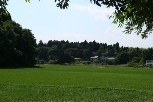 Hotel Otani
