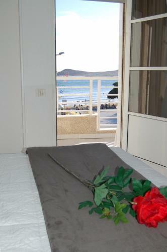 Apartamentos Los Laureles