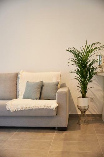 Apartamento Medano Suites II