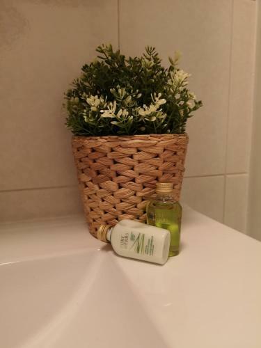 Apartamento Caribe Luxury El M�dano
