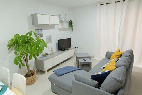 Apartamento Brisa Del Sur - El M�dano