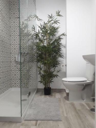 Apartamento Plaza Centro El M�dano (3-b)