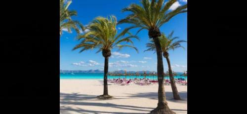 Apartamento Playa A 100 Metros Y Piscina Residencial
