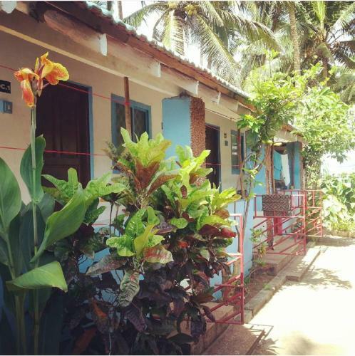 Hippie Hostel Anjuna