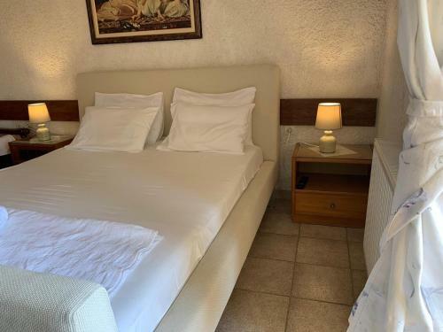 Sariza Spring Hotel
