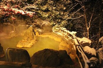 Yumoto Shirogane-onsen Hotel