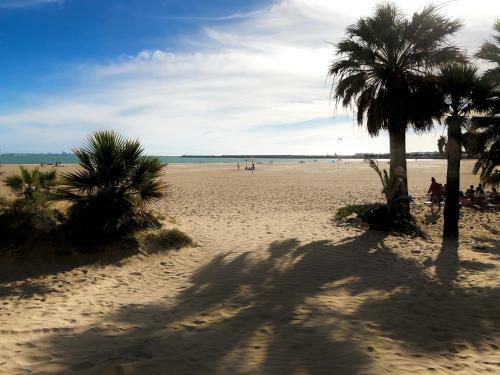 Apartamento En La Playa