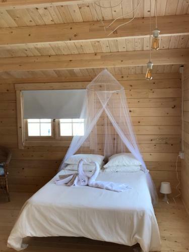 Lodge Wooden Cabin