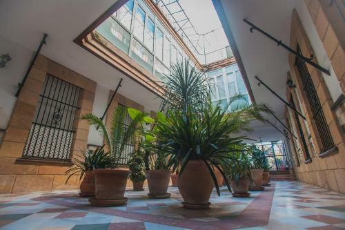 Apartamento Atico Cielos 102