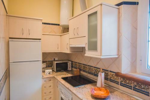 Apartamento Atico Cielos 102