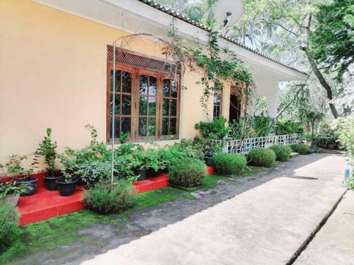Mountain Peradise Home Stay