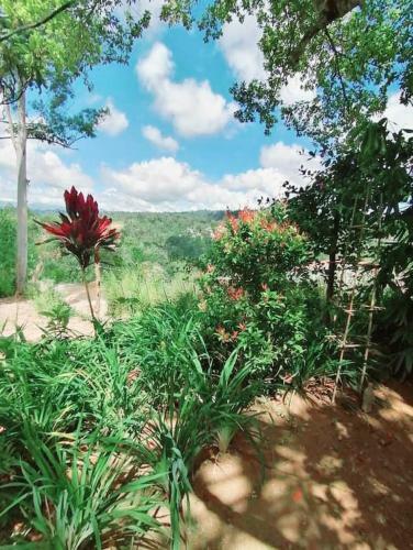Mountain Peradise Home Stay