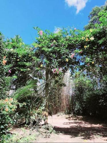 Mountain Peradise Home Stay