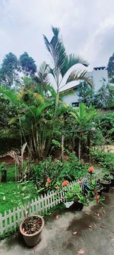 Mountain Peradise Home Stay