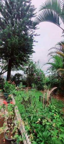 Mountain Peradise Home Stay