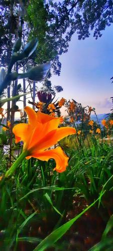 Mountain Peradise Home Stay
