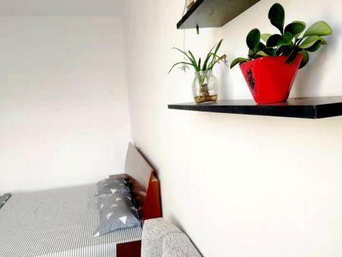 Hostal Beihai Old Town Holiday Seaview Inn