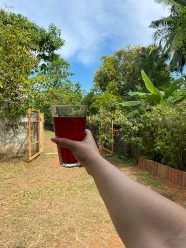 Bed & Breakfast Villa Sea Side Beruwala