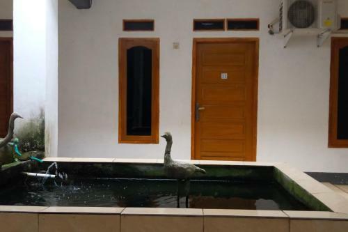 Hotel Guest House Rofal
