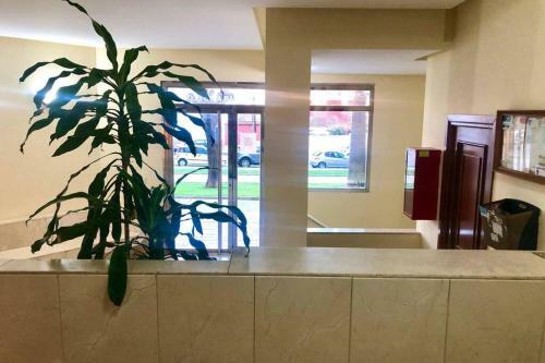 Apartamento Gatu Luz Del Puerto
