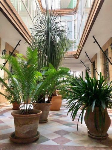 Apartamento Gatu La Posada Del Mercado