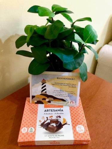 Apartamento Gatu La Posada Del Mercado