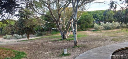 Chalet Vistahermosa Azahar 5