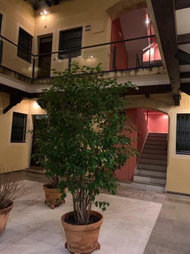 Apartamento El Saladillo