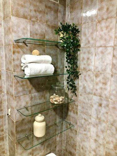 Apartamento El Galeno Del Puerto