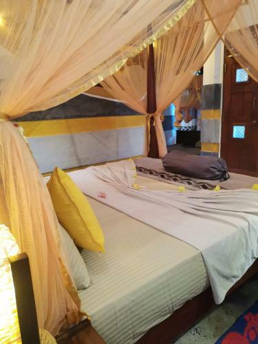Hostal Thara Cabana